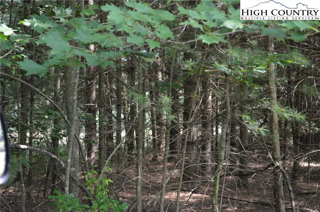 Image number 4 for the current listing