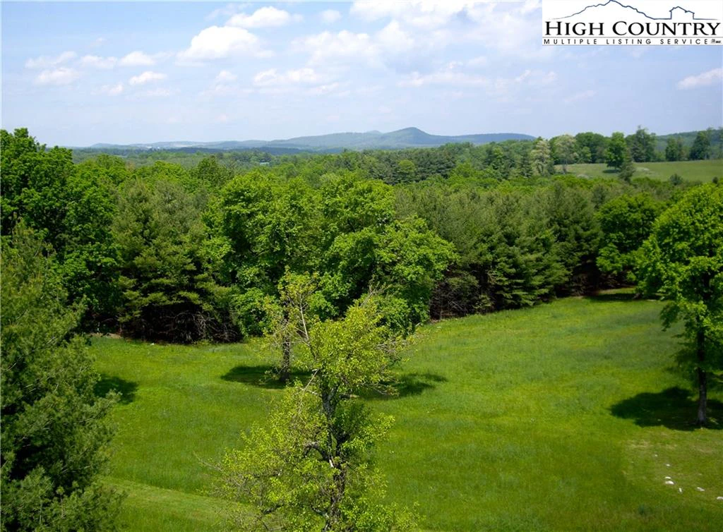 Image number 16 for the current listing