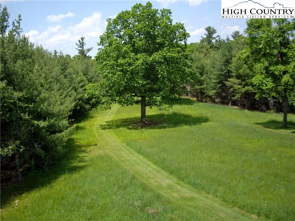 Image number 15 for the current listing