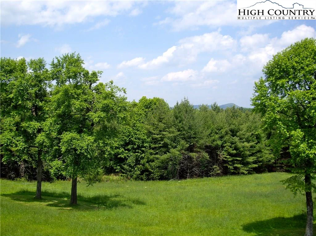 Image number 14 for the current listing