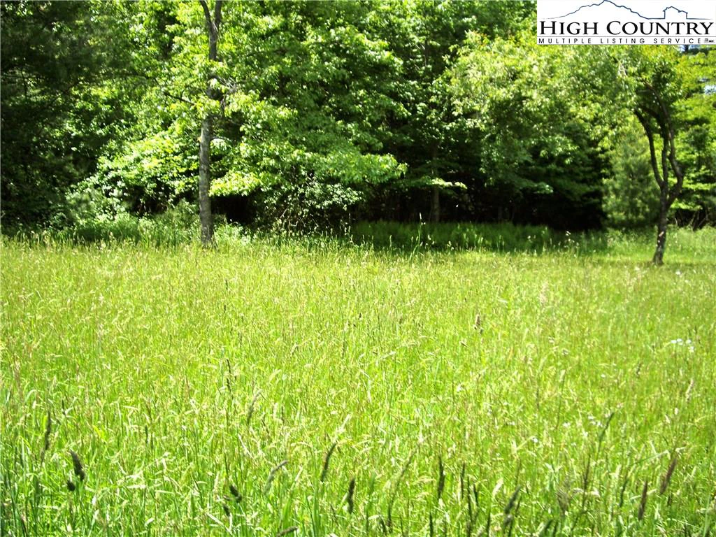 Image number 13 for the current listing