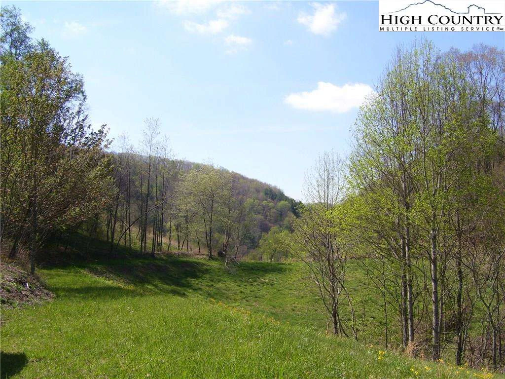 Image number 1 for the current listing
