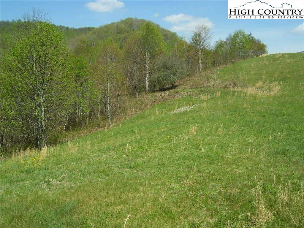 Image number 3 for the current listing