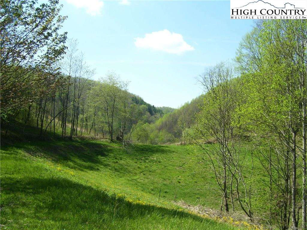 Image number 4 for the current listing