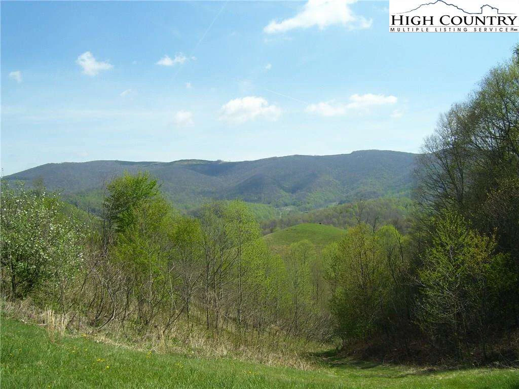 Image number 5 for the current listing