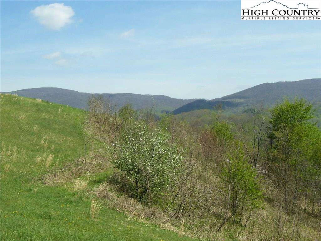 Image number 6 for the current listing