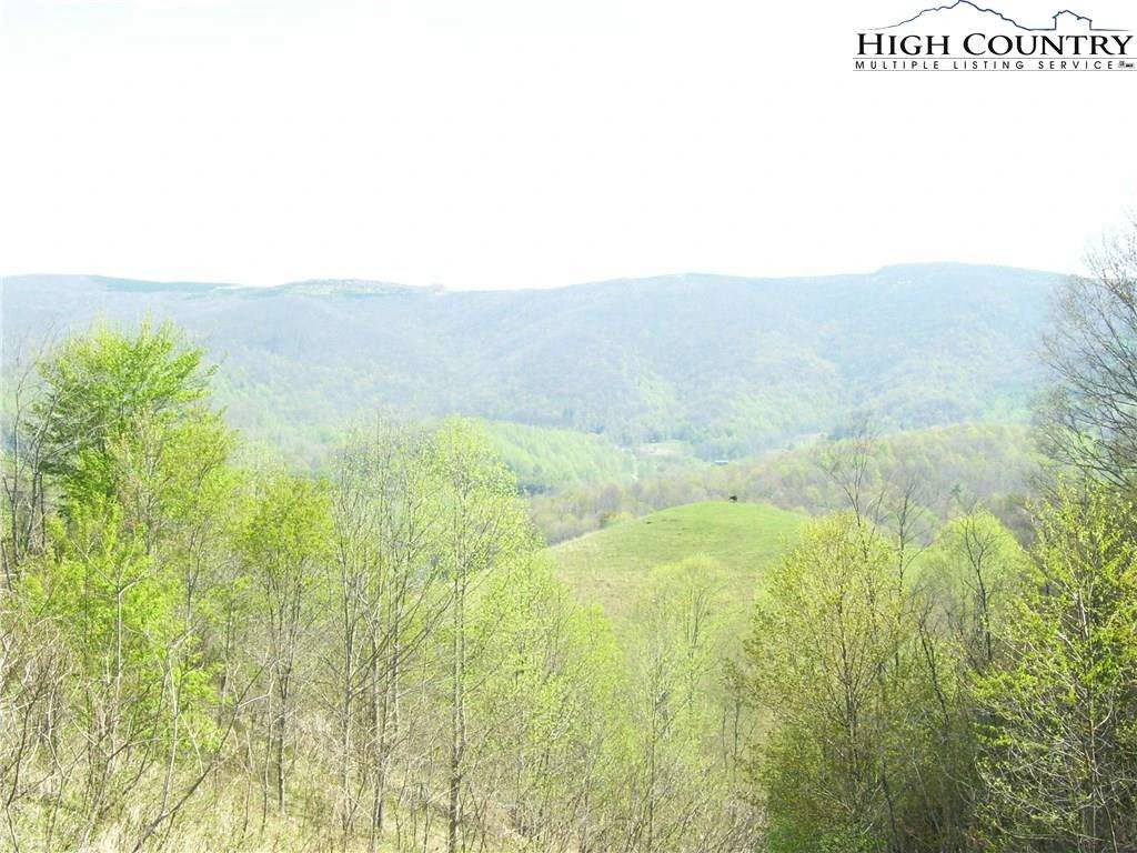 Image number 7 for the current listing