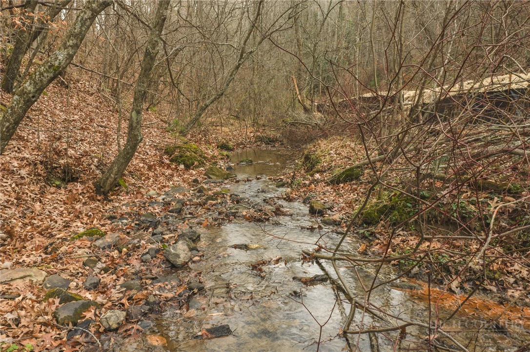 Image number 2 for the current listing