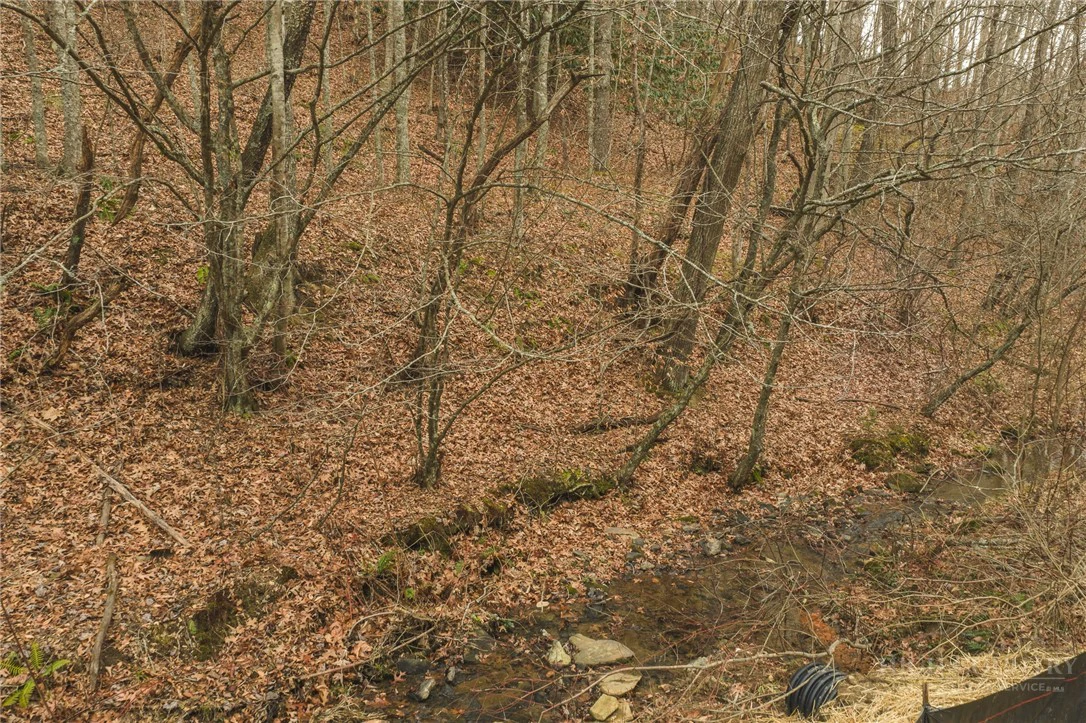 Image number 3 for the current listing