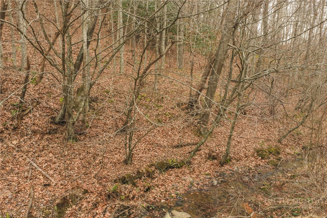 Image number 4 for the current listing