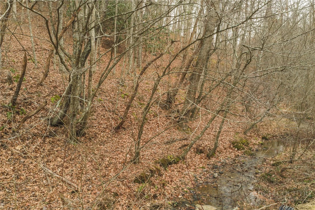Image number 5 for the current listing