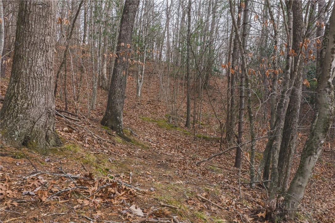 Image number 7 for the current listing