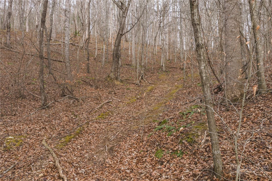 Image number 8 for the current listing