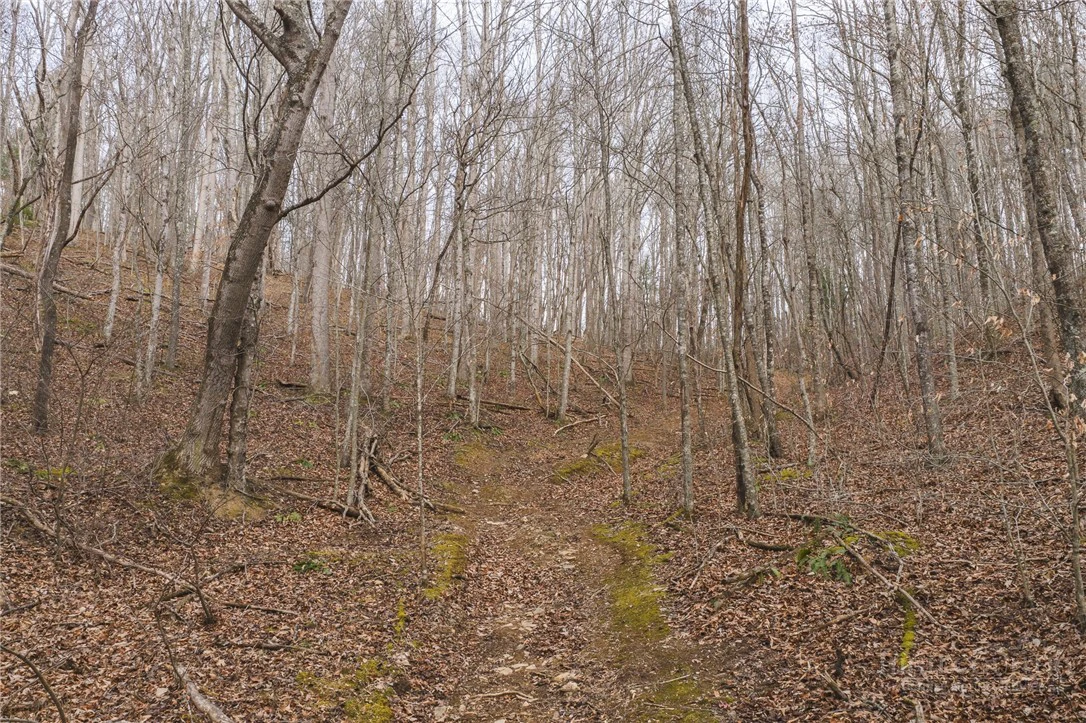 Image number 9 for the current listing