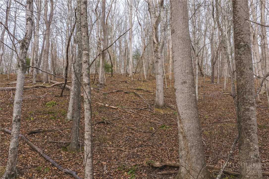 Image number 11 for the current listing