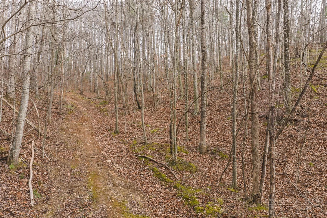 Image number 12 for the current listing