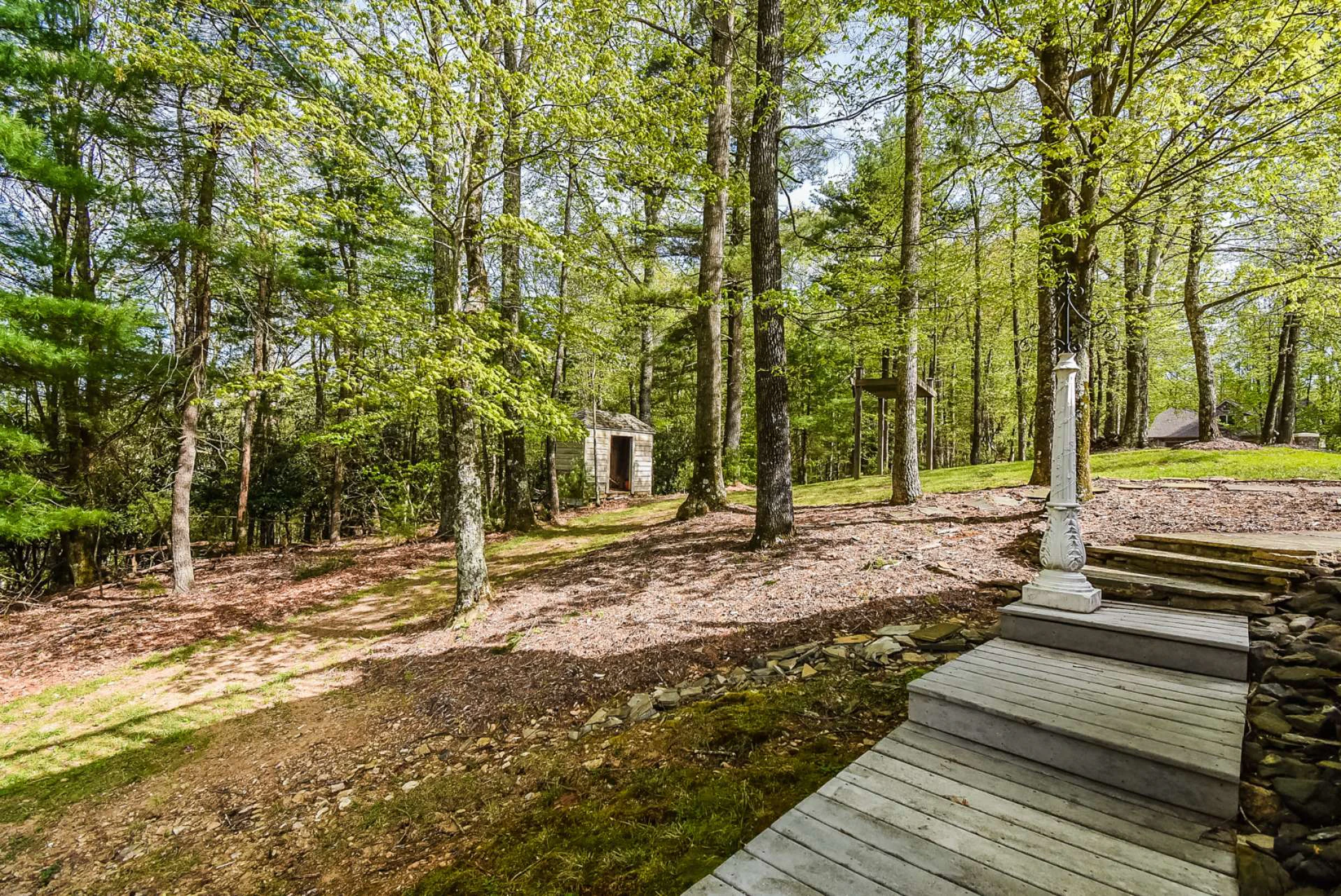 Image number 18 for the current listing