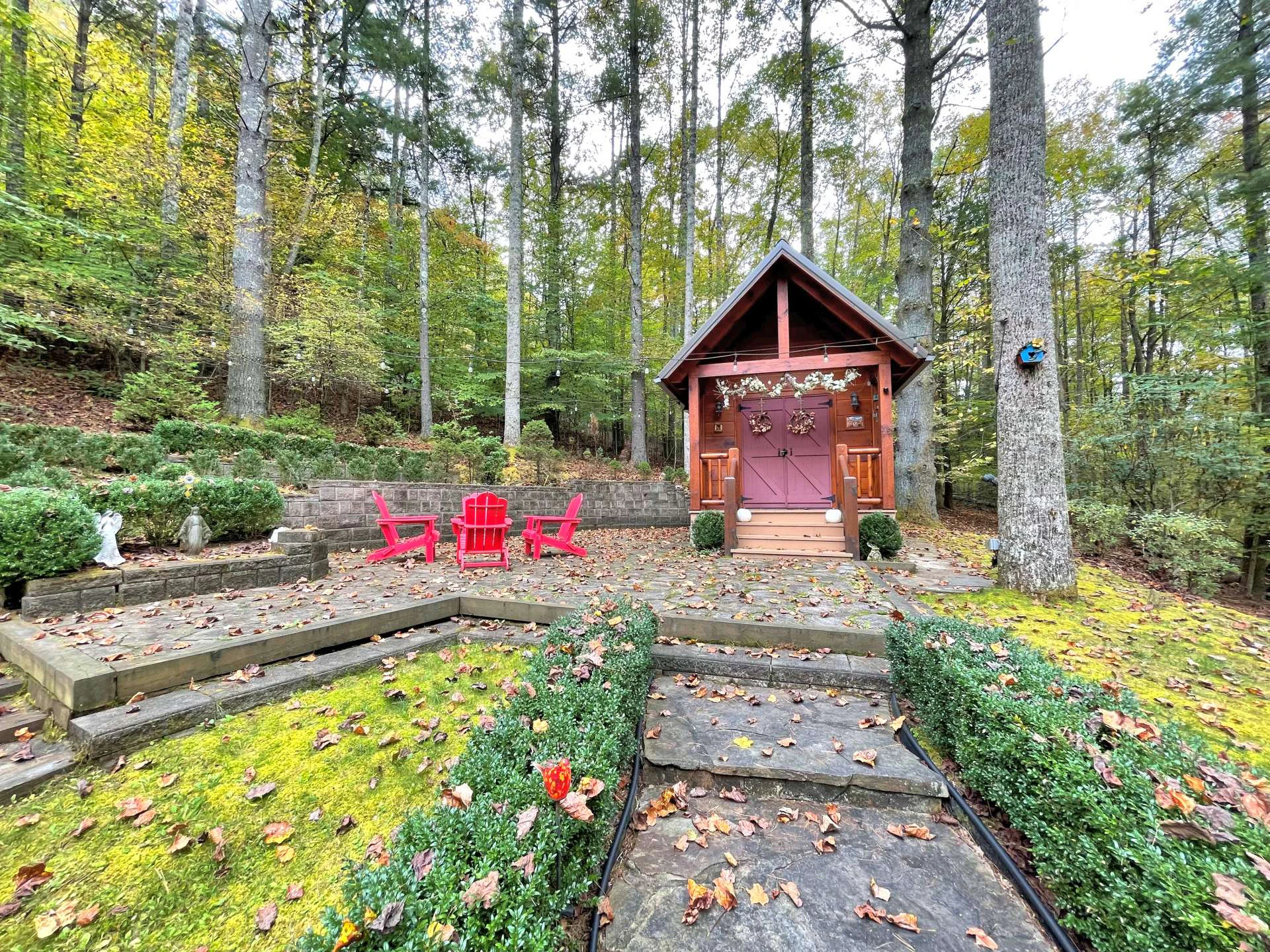 Image number 5 for the current listing