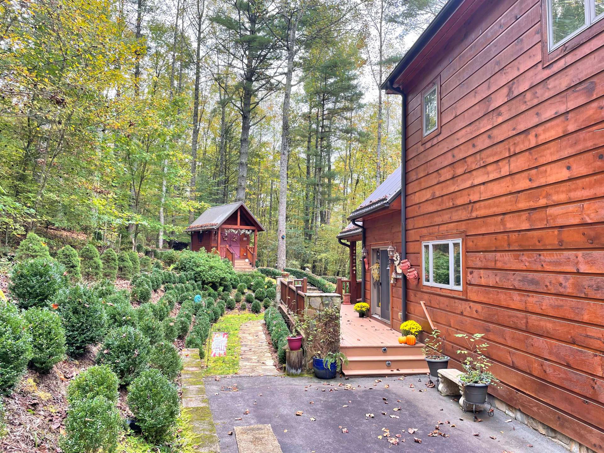 Image number 8 for the current listing