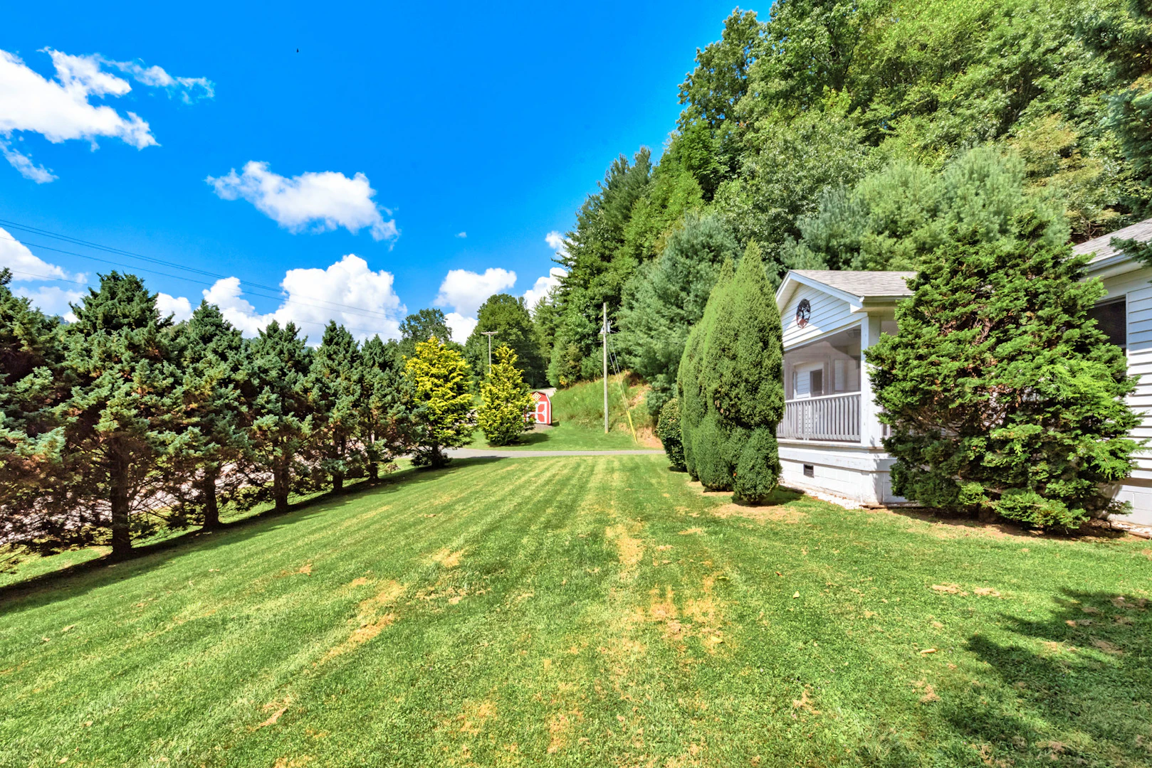 Image number 1 for the current listing