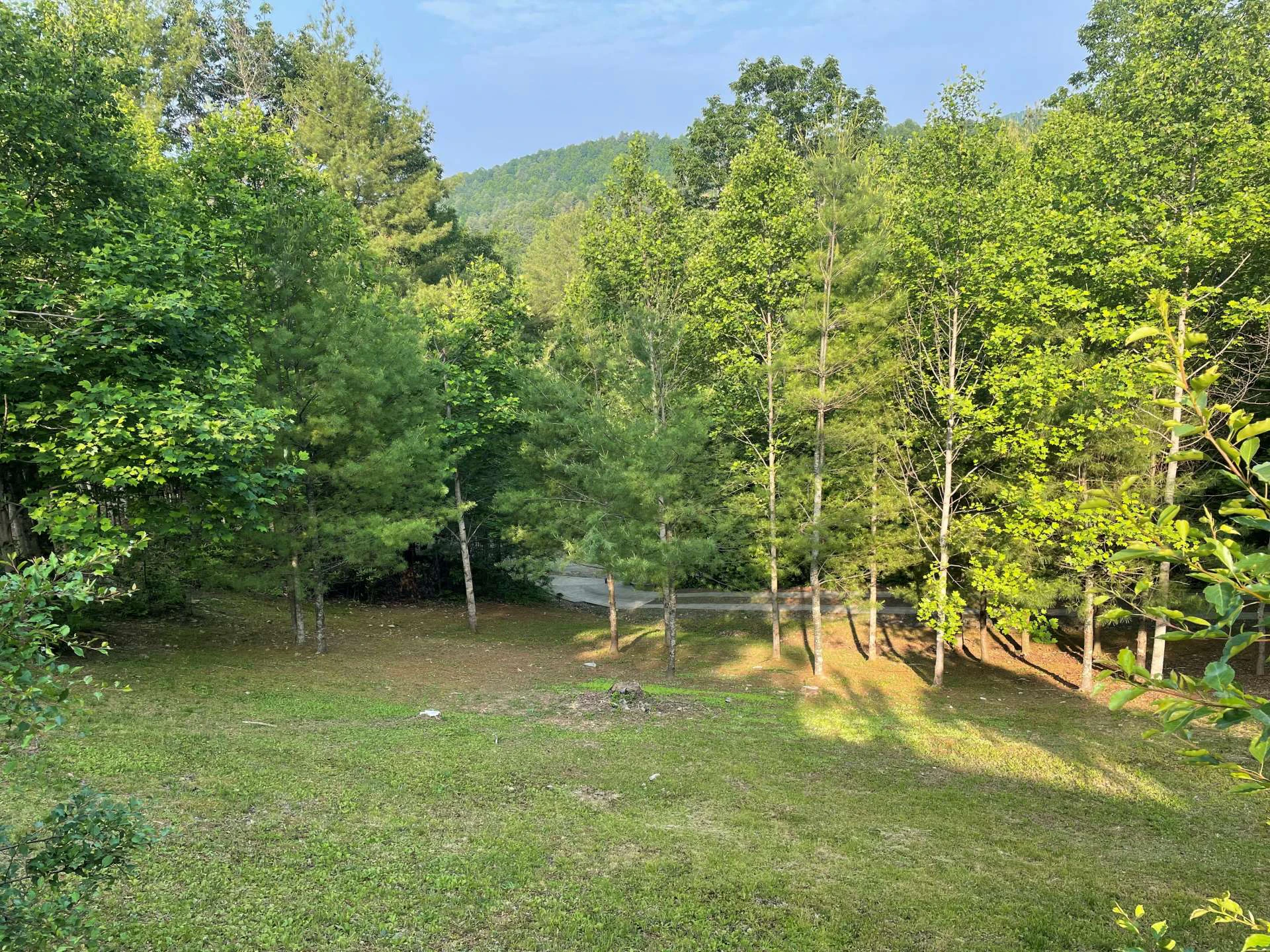 Image number 15 for the current listing