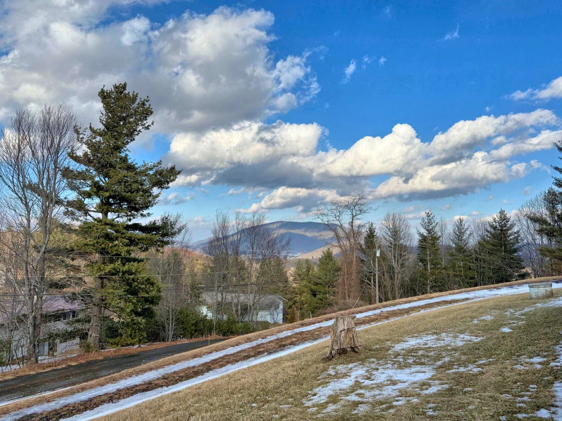 Image number 4 for the current listing