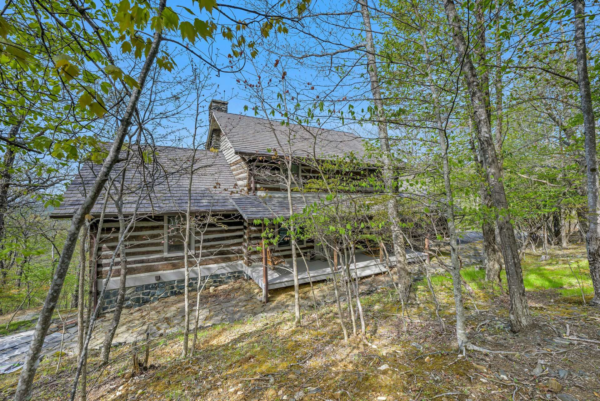 Image number 21 for the current listing