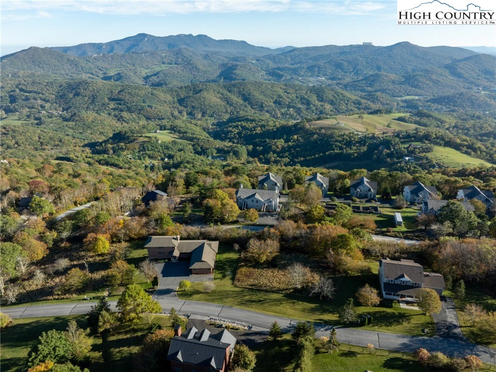 Image number 2 for the current listing