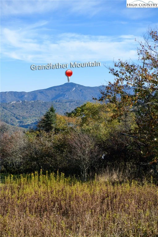 Image number 9 for the current listing