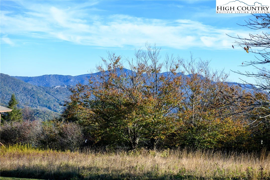Image number 1 for the current listing