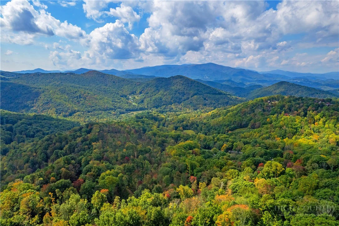 Image number 1 for the current listing