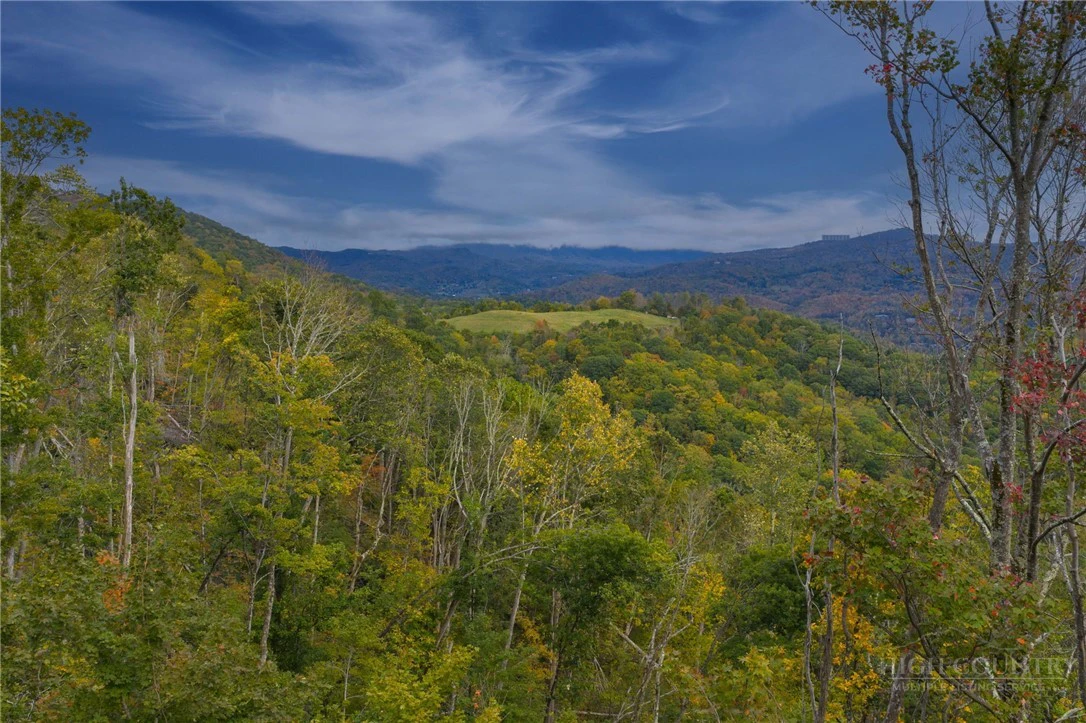 Image number 7 for the current listing