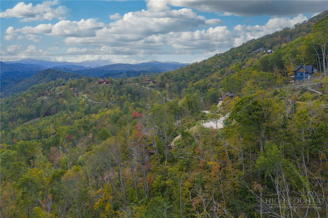 Image number 8 for the current listing