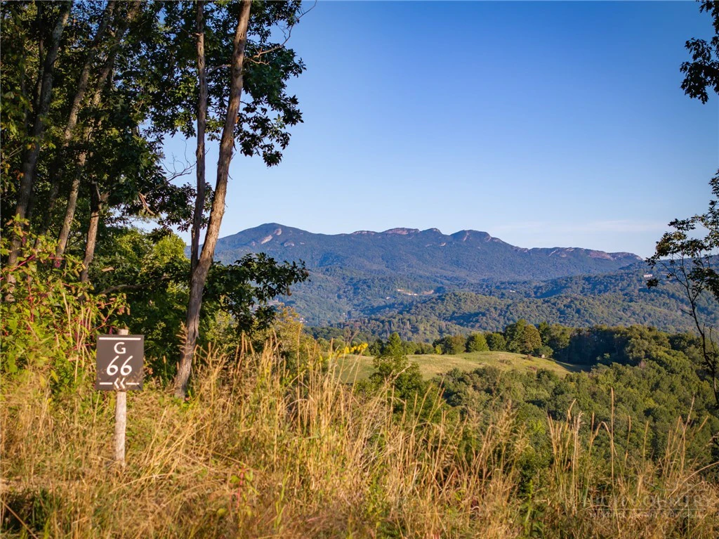 Image number 1 for the current listing