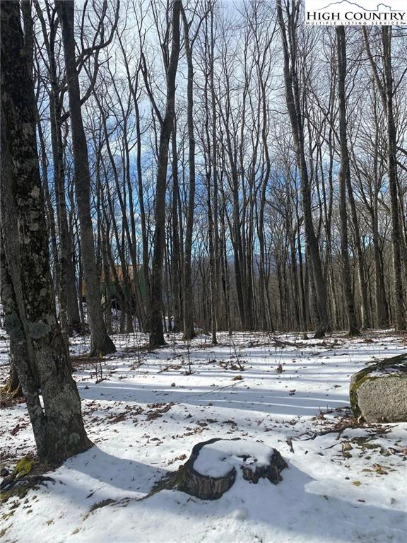 Image number 1 for the current listing