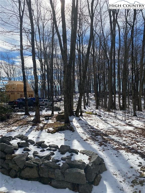 Image number 16 for the current listing