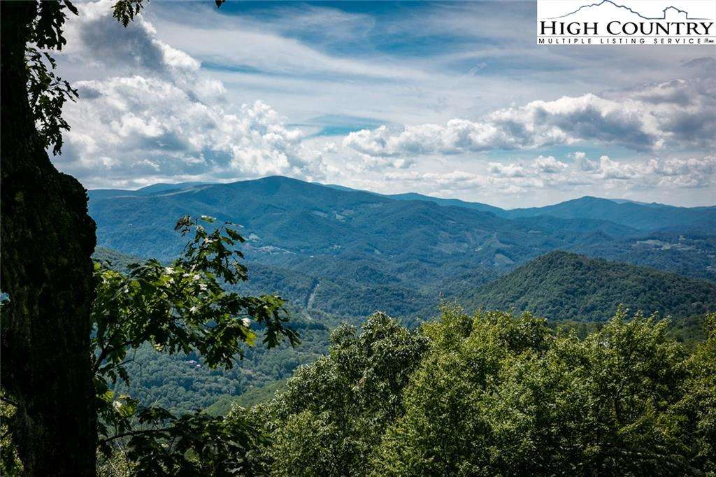 Image number 1 for the current listing