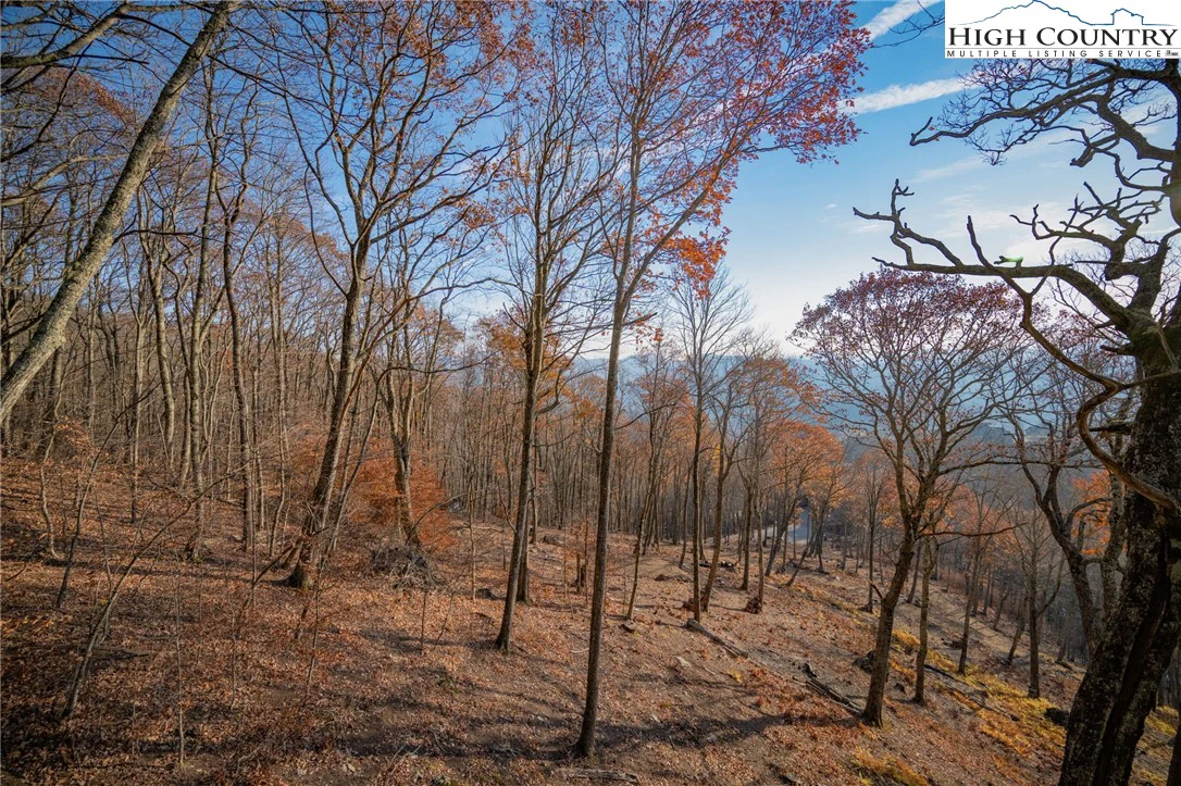 Image number 9 for the current listing