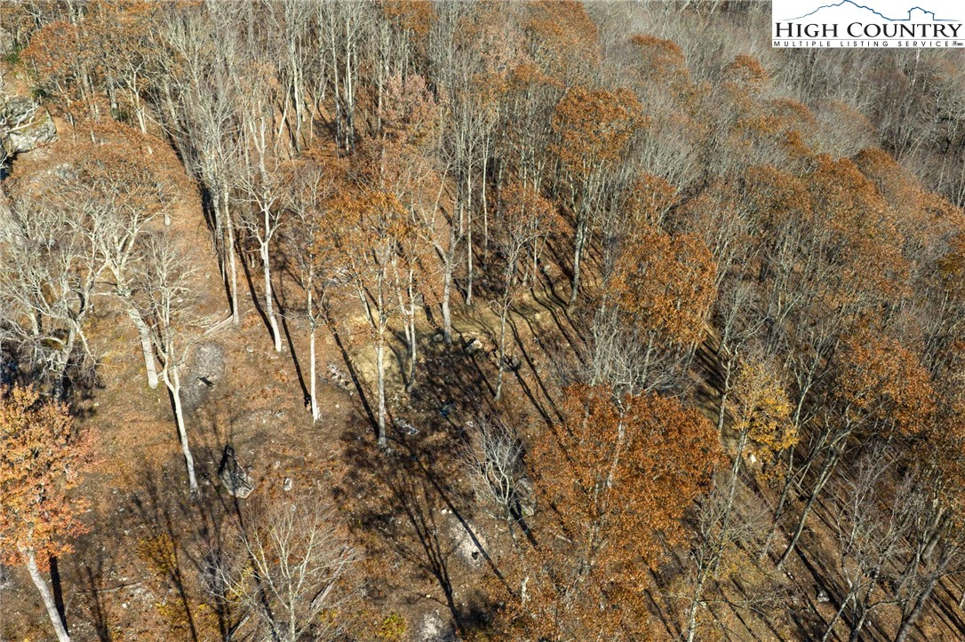 Image number 17 for the current listing