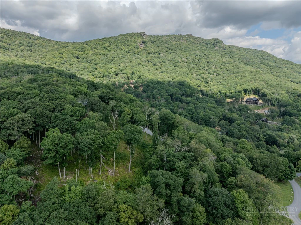 Image number 11 for the current listing
