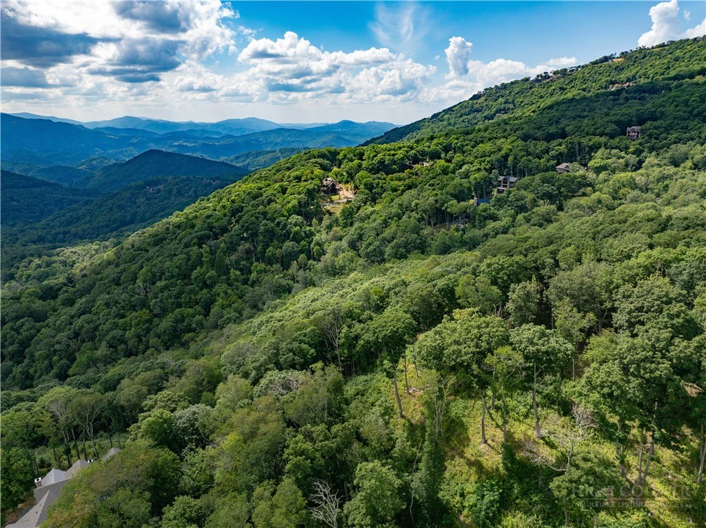 Image number 4 for the current listing