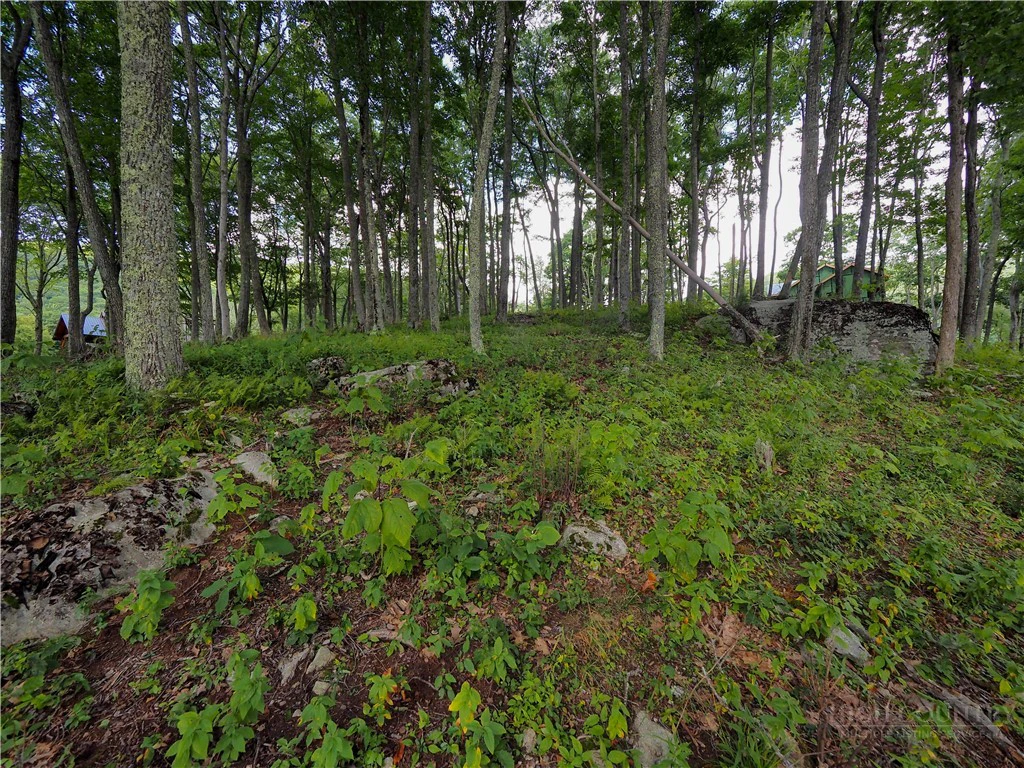 Image number 5 for the current listing
