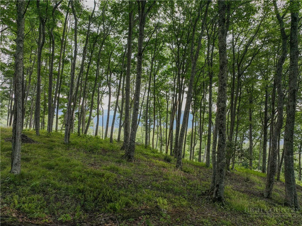 Image number 7 for the current listing