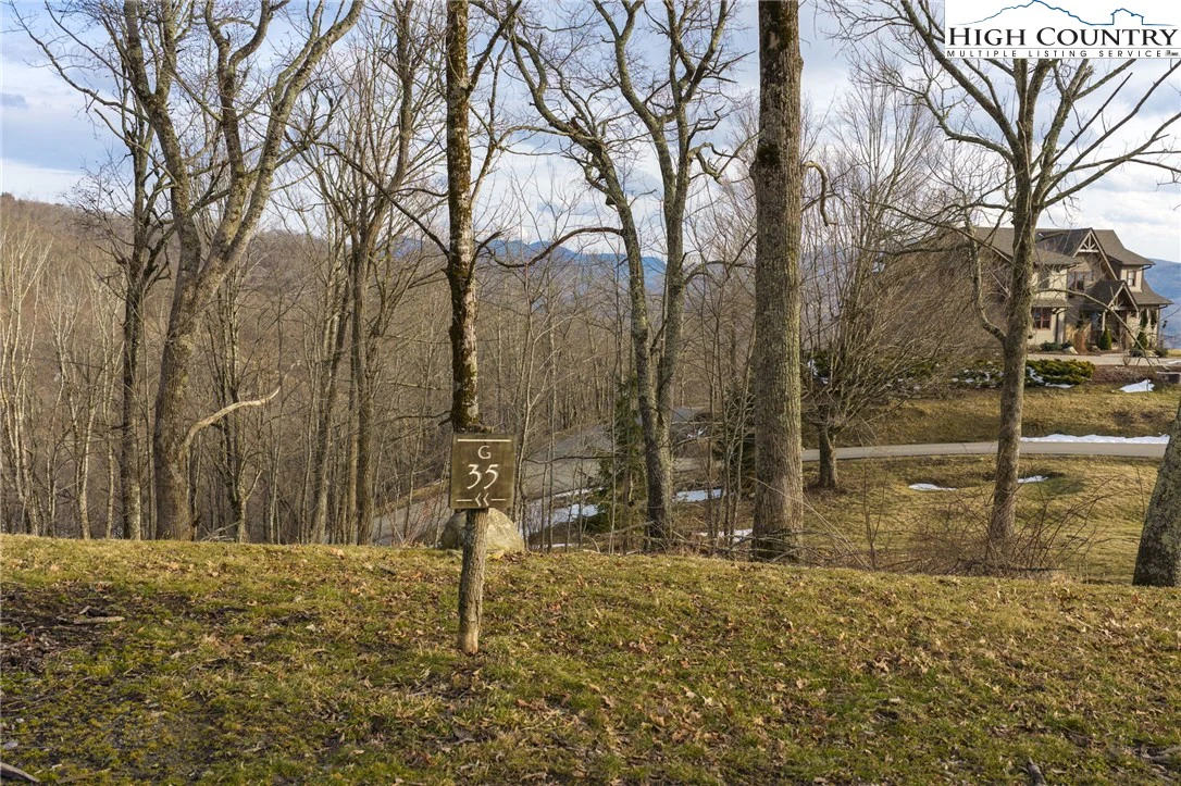 Image number 1 for the current listing