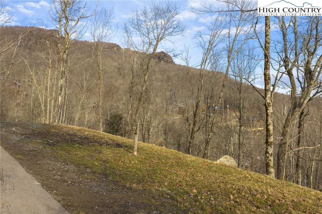Image number 8 for the current listing