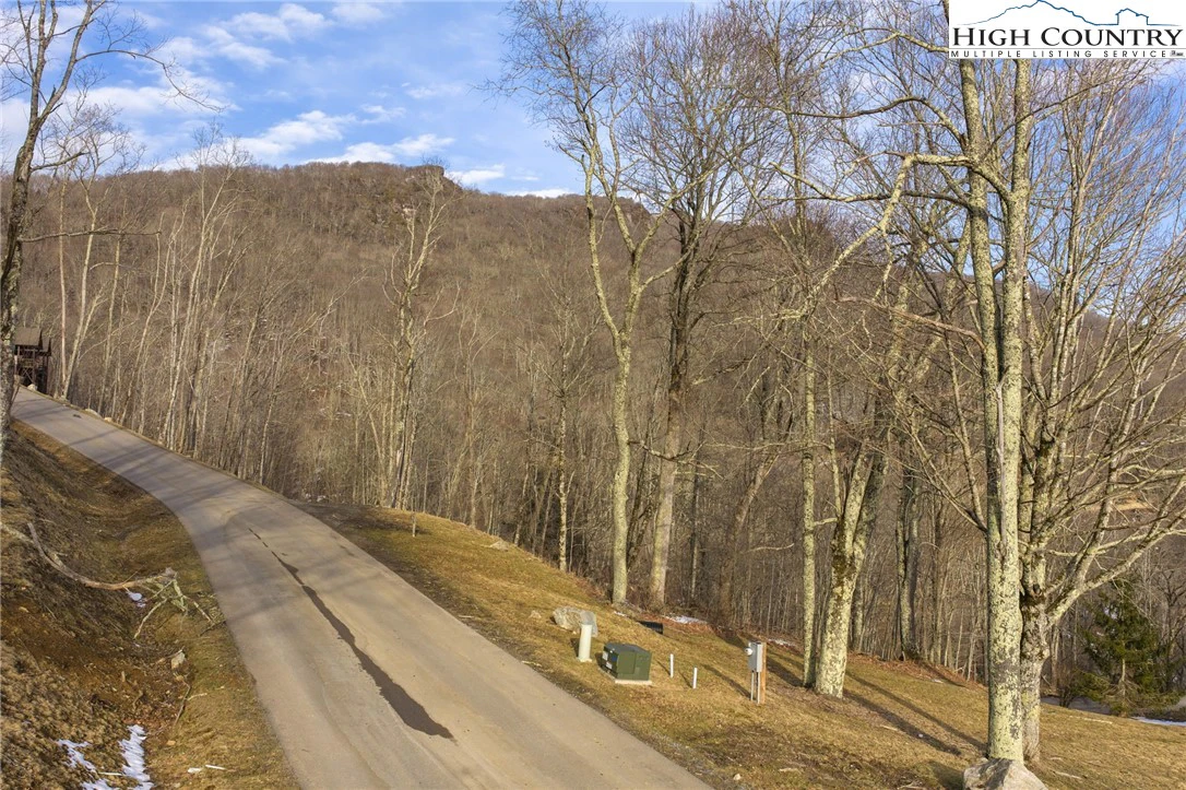 Image number 9 for the current listing