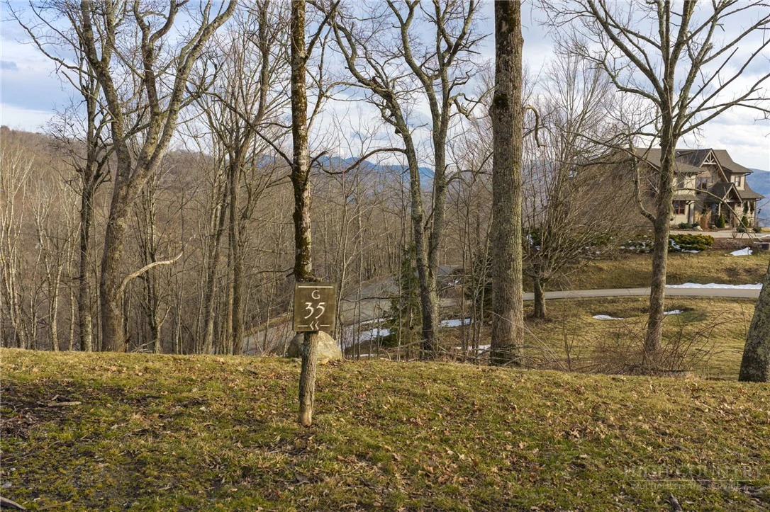 Image number 1 for the current listing