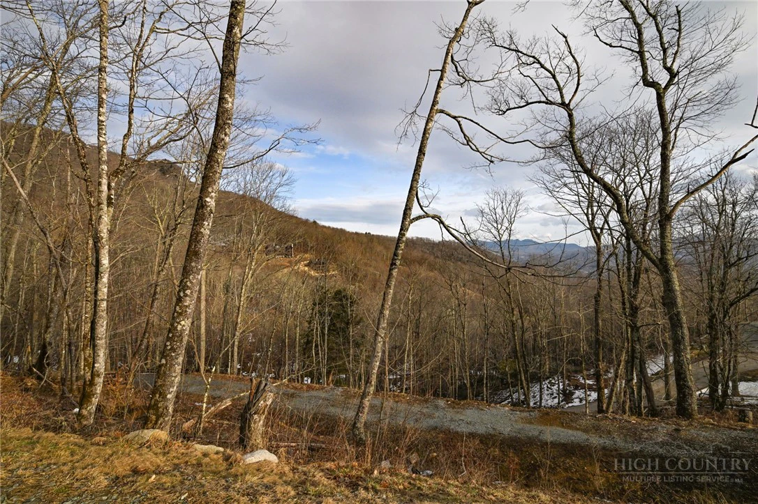 Image number 3 for the current listing
