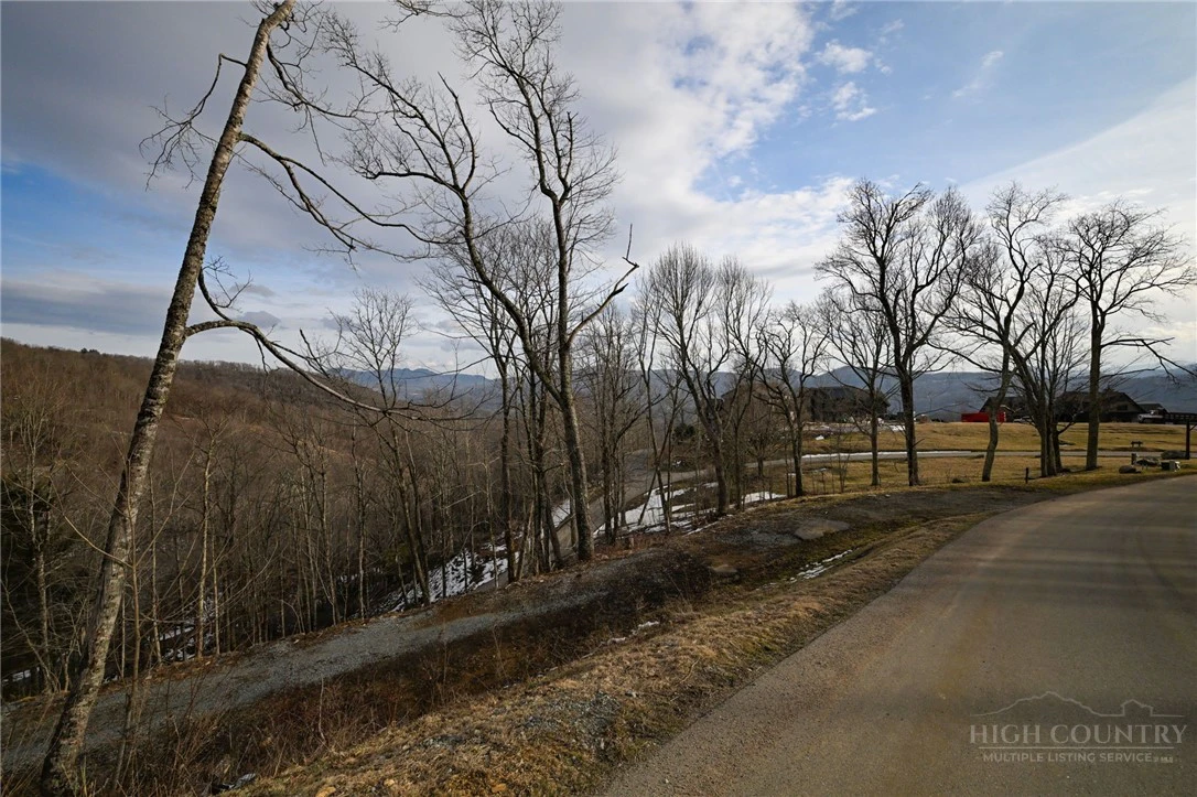 Image number 4 for the current listing