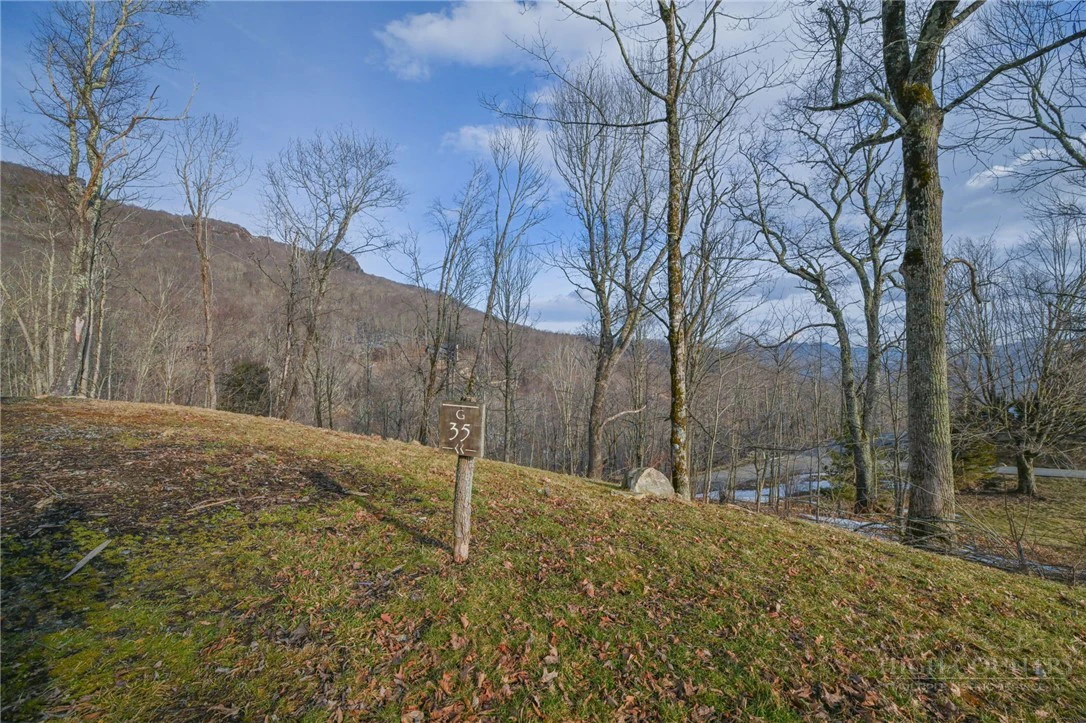 Image number 6 for the current listing